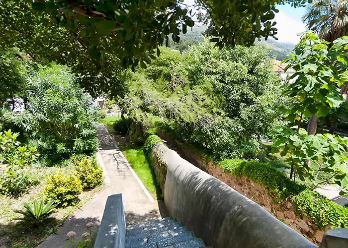 Gradac With Garden Next To And Old Town Appartement