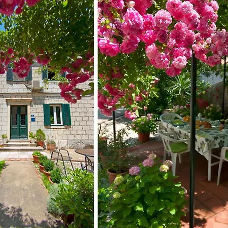 Lägenhet Gradac With Garden Next To And Old Town Dubrovnik