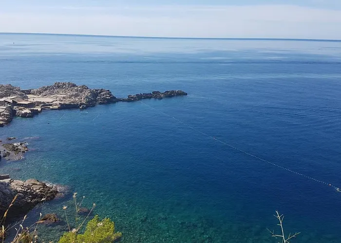 דירה Gradac With Garden Next To And Old Town *