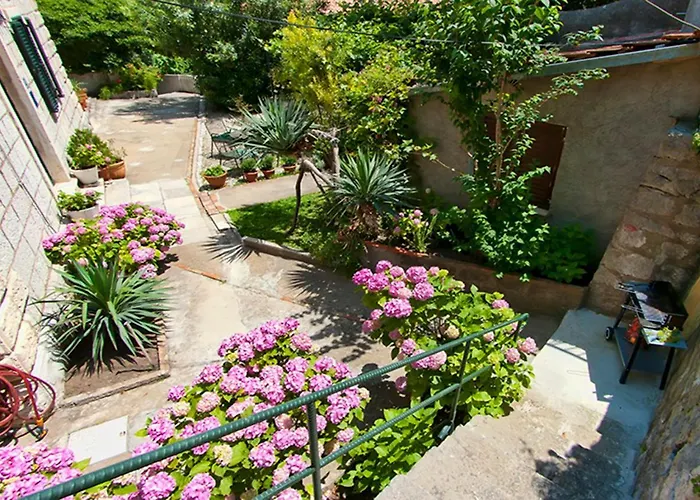 Lägenhet Gradac With Garden Next To And Old Town Dubrovnik