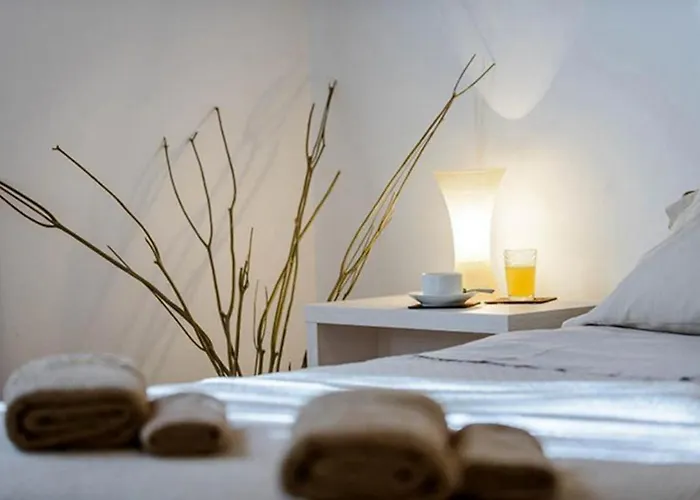 公寓 Gradac With Garden Next To And Old Town