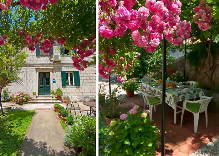 公寓 Gradac With Garden Next To And Old Town 杜布罗夫尼克